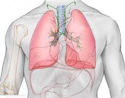 Test kích thích phế quản với Manitol